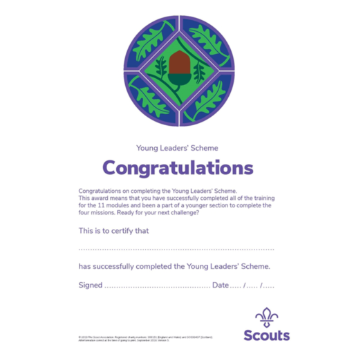 Young Leaders “Completing the Scheme” Certificates  – 10 Pack