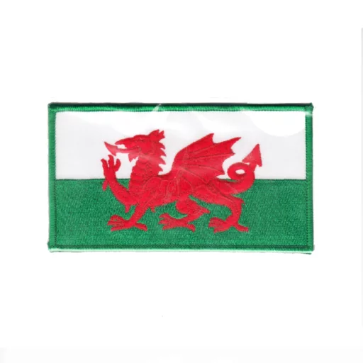 Welsh Dragon Fun Badge