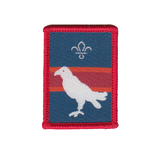 Scouts Falcon Patrol Badge