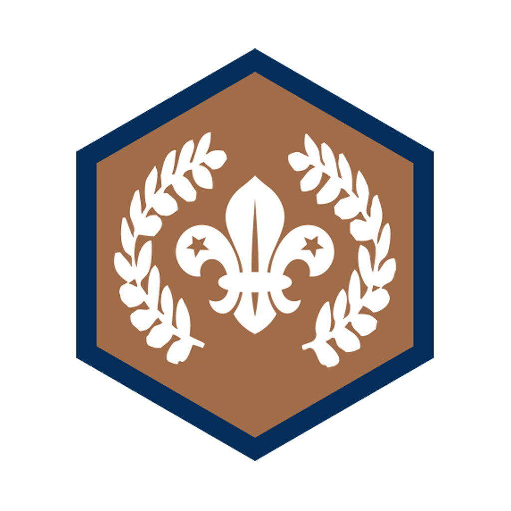 beavers-chief-scout-s-bronze-award-badge-project-x-adventures
