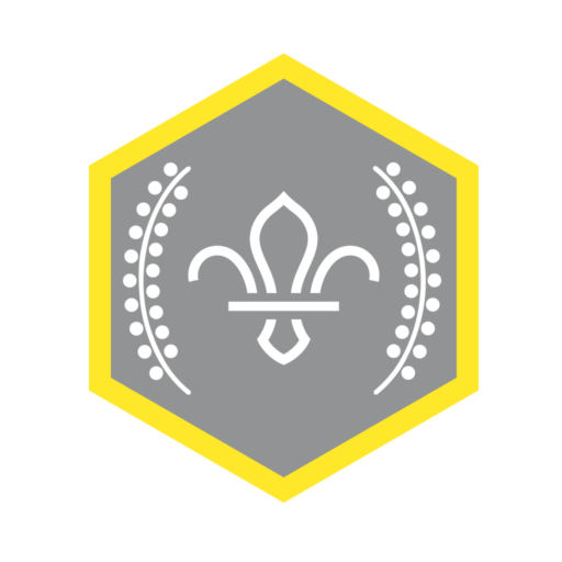 Cubs Chief Scout’s Silver Award Badge