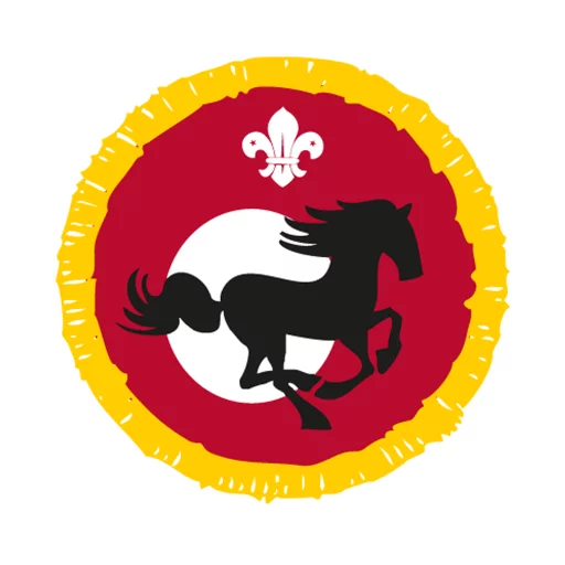 Cubs Equestrian Activity Badge