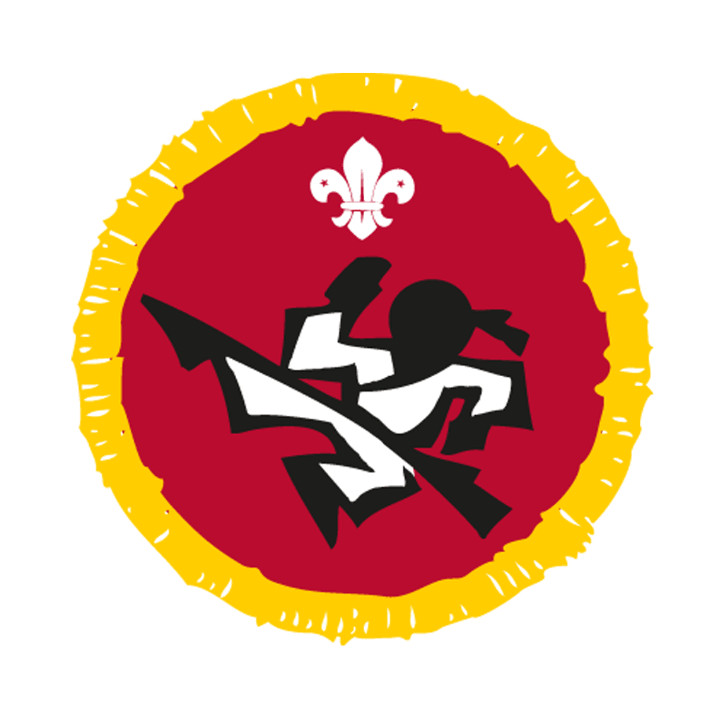Cubs Martial Arts Activity Badge Project X Adventures