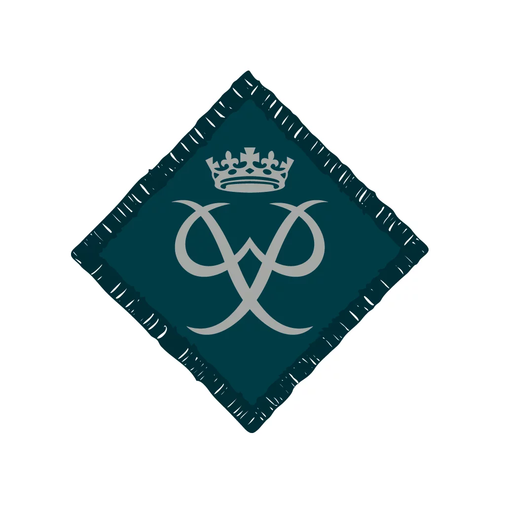 Network / Explorers Duke of Edinburgh's Silver Award Badge