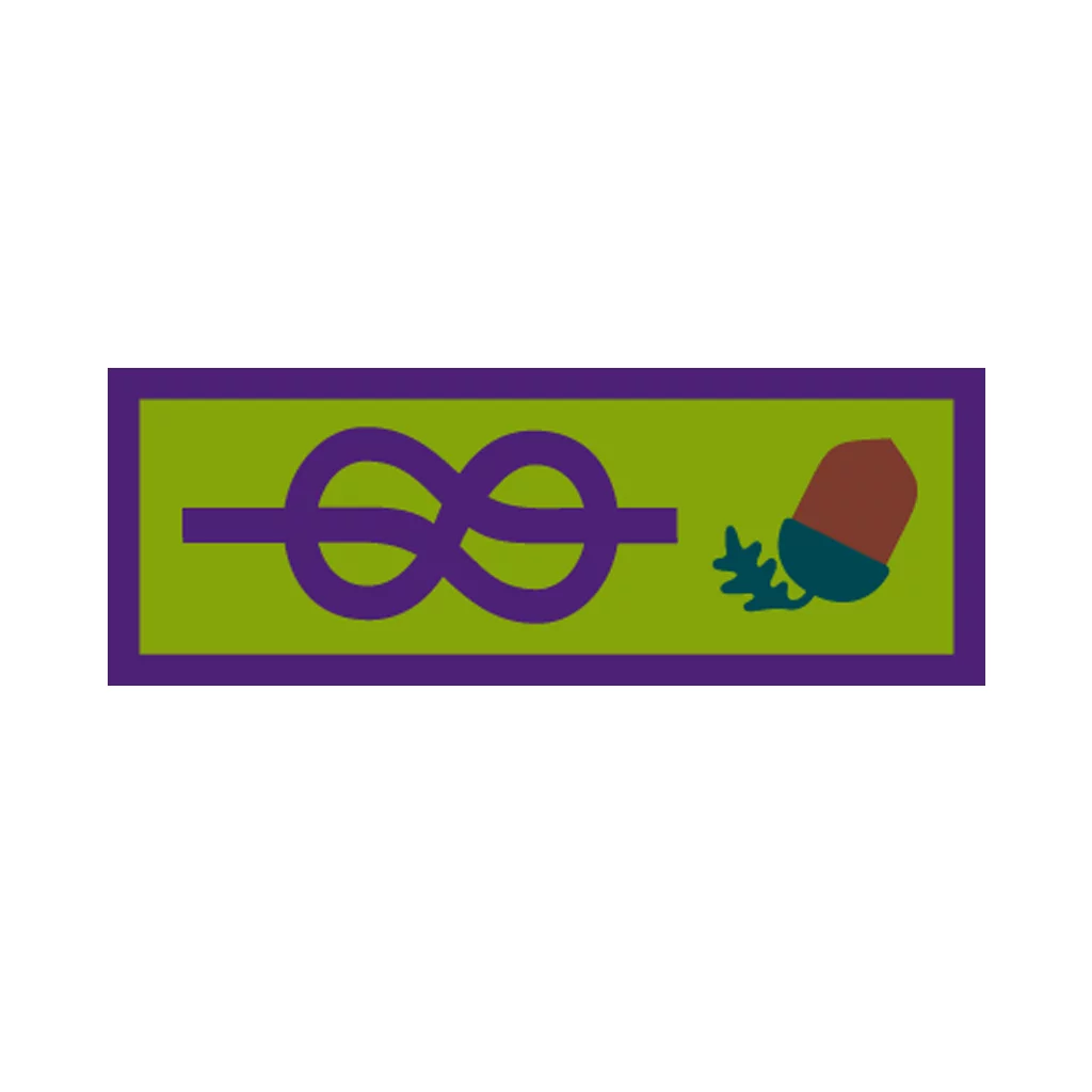 Young Leaders Scheme Adult Recognition Award Badge