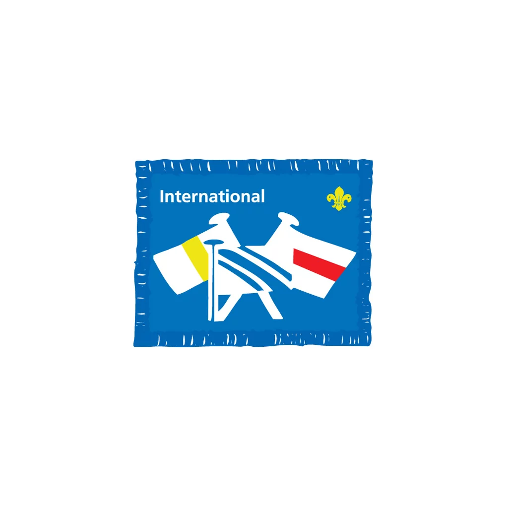 International Award Badge (Pre 2015 Collection)