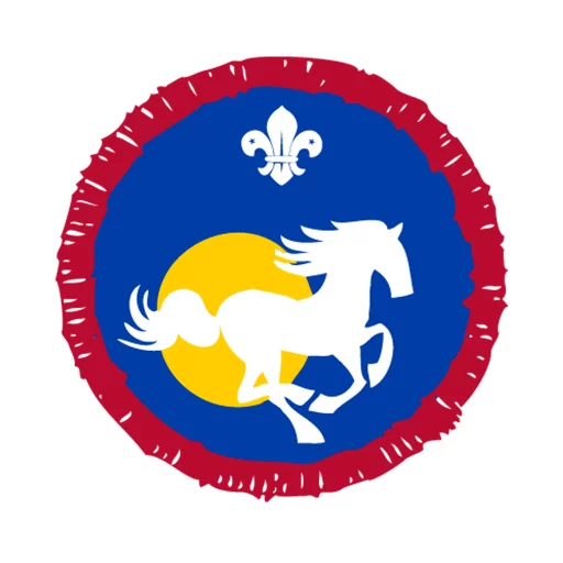 Scouts Equestrian Activity Badge