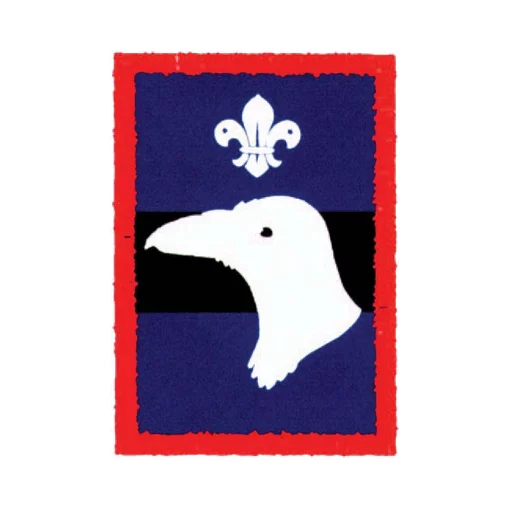 Scouts Raven Patrol Badge