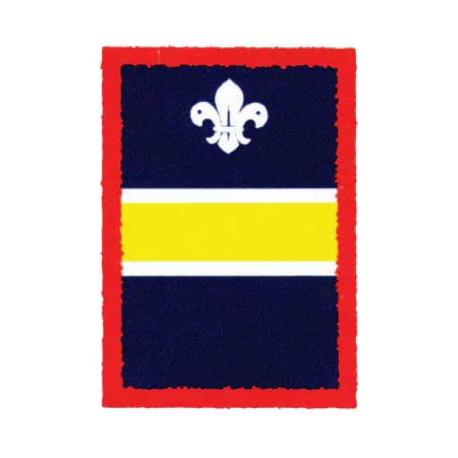 Scouts Yellow Patrol Badge