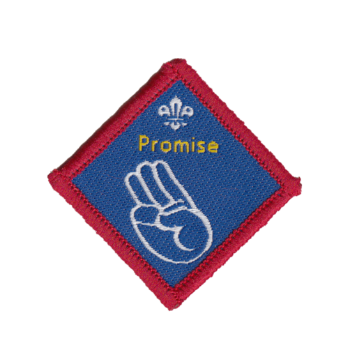 Scouts Promise Challenge Award Badge (Pre 2015 Collection)