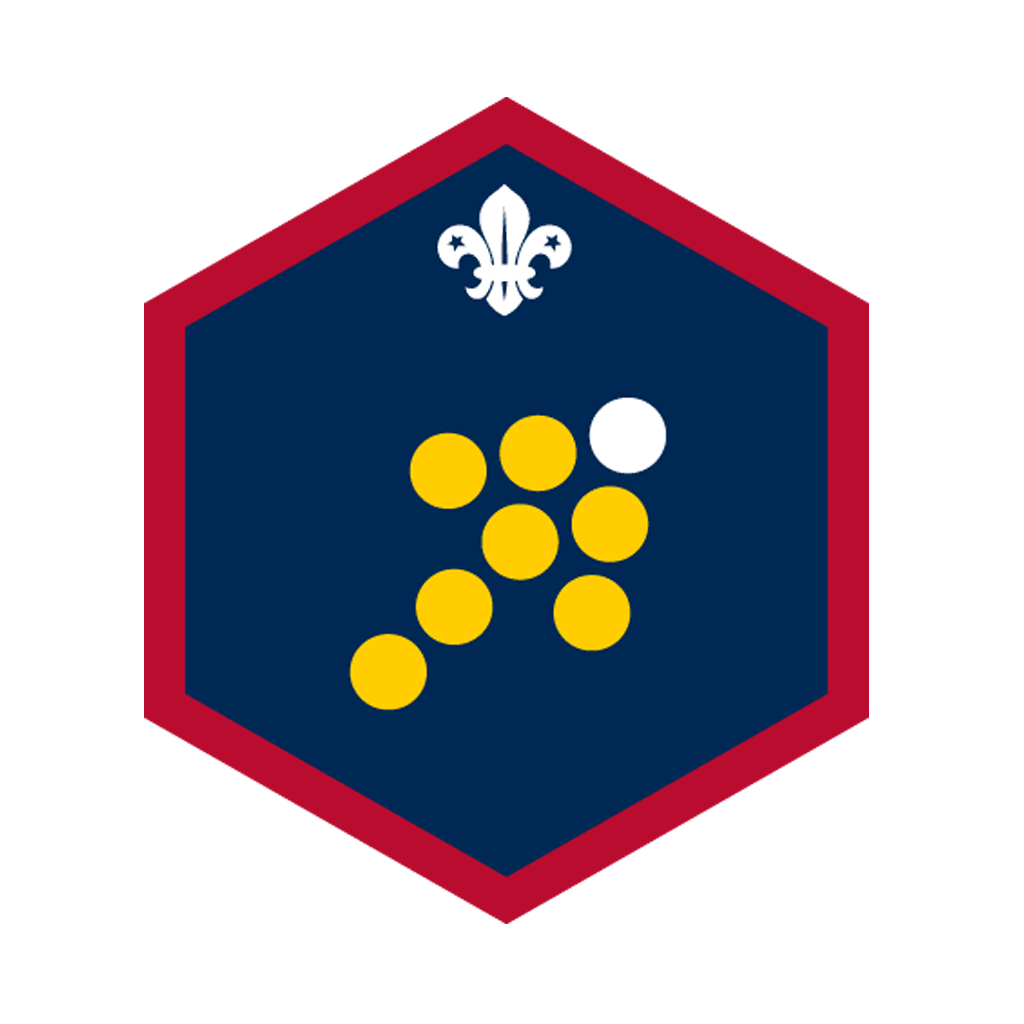 Scouts Team Leader Challenge Award Badge Project X Adventures