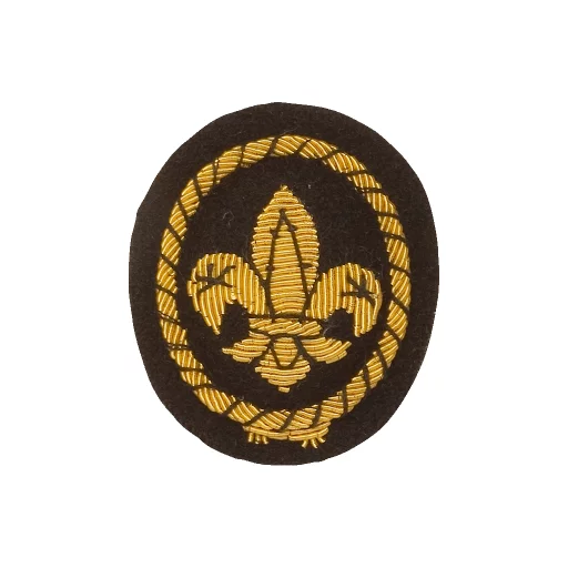 Sea Scouts Cap Gold Wire Badge