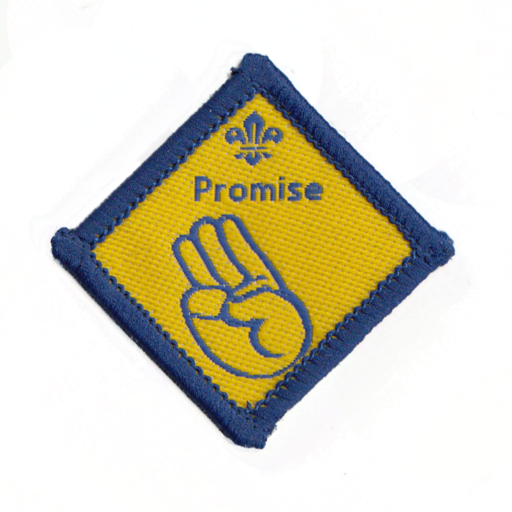Beavers Promise Challenge Award Badge (Pre 2009 Collection)