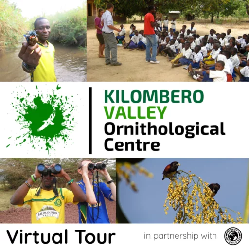 Project X Virtual Tour for Groups: Kilombero Valley Ornithological Centre