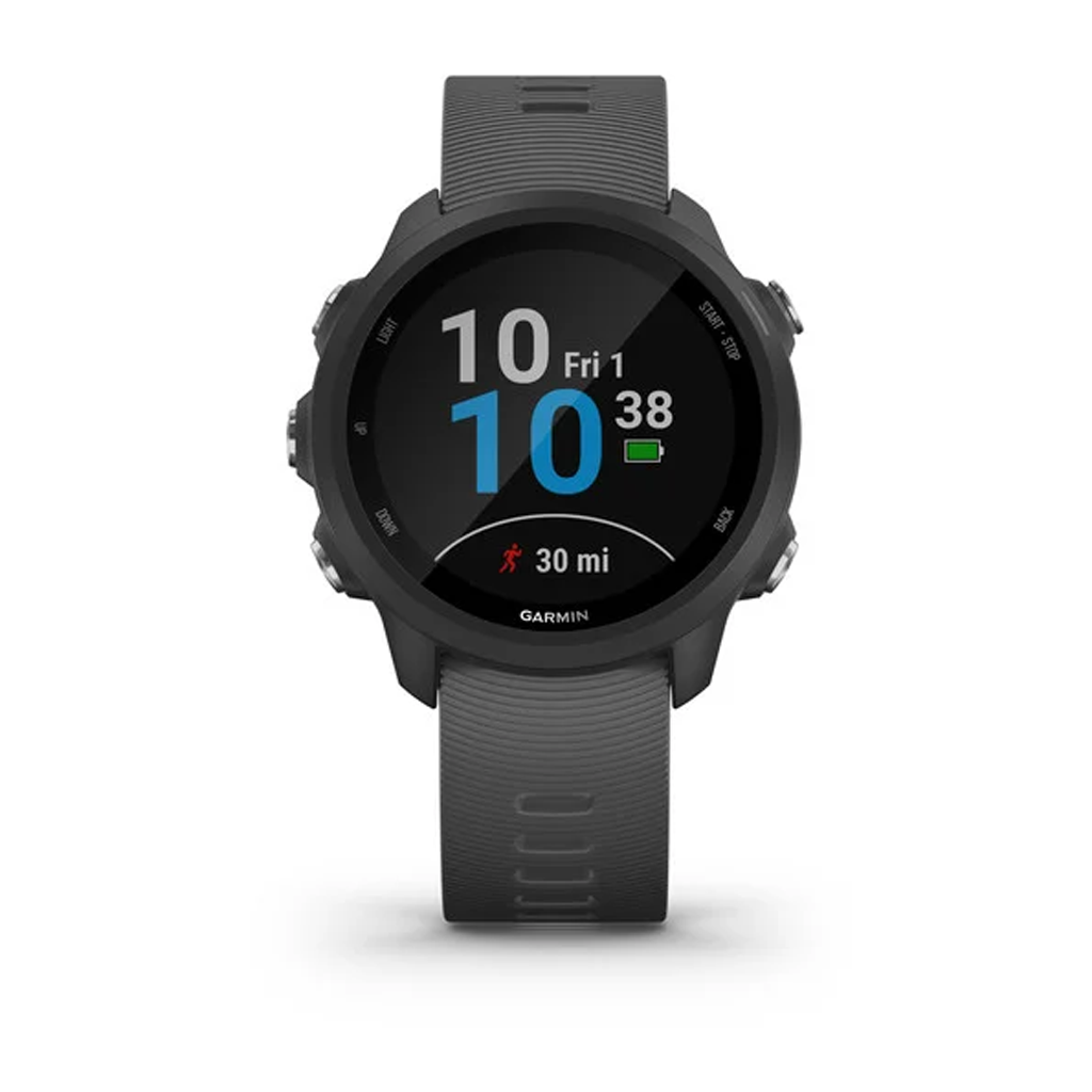 garmin 245 slate